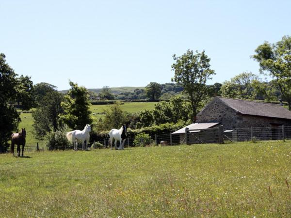 The Shippon Villa Conwy Buitenkant foto